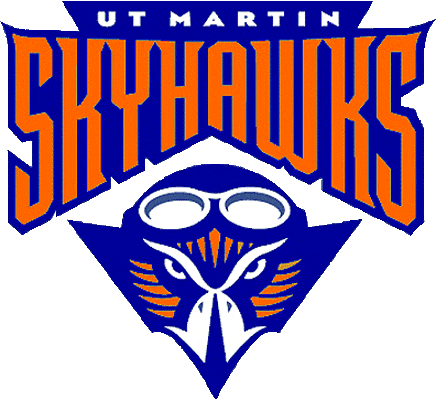 Tennessee-Martin Skyhawks 2003-2008 Primary Logo iron on transfers for clothing